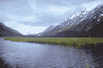 alaska